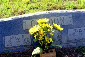 Ansel Hensley Gordon