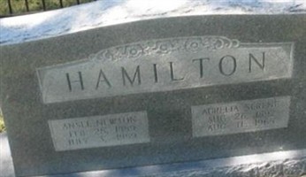 Ansel Newton Hamilton