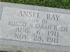 Ansel Ray Hash