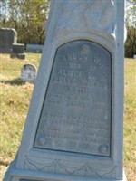 Anson W. Heim