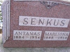 Antanas Senkus Antanas Senkus