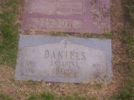Antanina Daniels