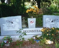Anthea L. Higginbotham Anthea L. Higginbotham