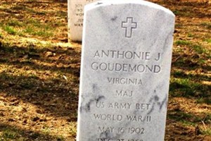 Anthonie Jacobus Goudemond