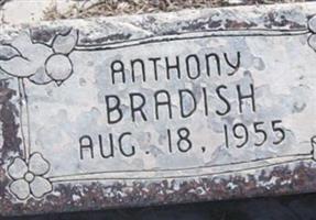 Anthony Bradish