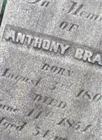 Anthony Bradt