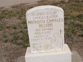 Anthony Charles Nelson