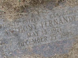 Anthony Fernandez (1988682.jpg)