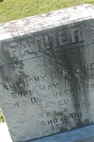 Anthony G Greiner Anthony G Greiner