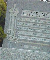 Anthony Gambino (1867851.jpg)