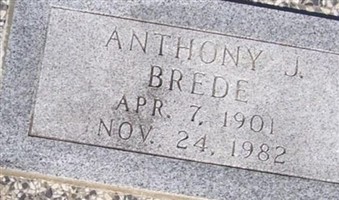 Anthony J. Brede Anthony J. Brede