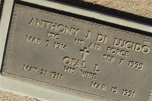 Anthony J Di Lucido