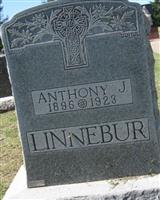 Anthony J. Linnebur