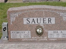 Anthony J Sauer