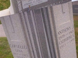 Anthony J Sheehan Anthony J Sheehan