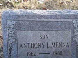 Anthony L Menna