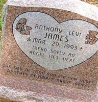Anthony Levi James