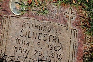 Anthony Lewis Silvestri (2111868.jpg) Anthony Lewis Silvestri (2111868.jpg)