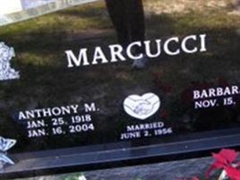 Anthony M. Marcucci