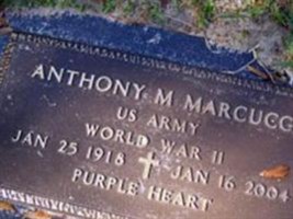 Anthony M. Marcucci