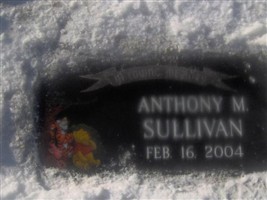 Anthony Micheal Sullivan