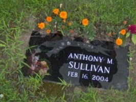 Anthony Micheal Sullivan