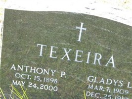 Anthony P Texeira Anthony P Texeira