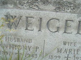 Anthony P Weigel Anthony P Weigel