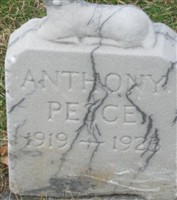 Anthony Pesce Anthony Pesce