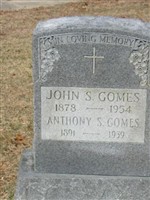 Anthony S Gomes