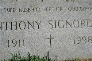 Anthony Signorelli Anthony Signorelli