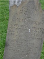 Anthony Swain