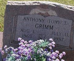 Anthony T. Grimm