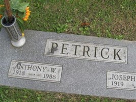 Anthony W Petrick