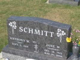 Anthony W. "Tony" Schmitt Anthony W. "Tony" Schmitt