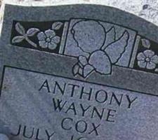 Anthony Wayne Cox