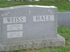 Anthony Weiss Anthony Weiss