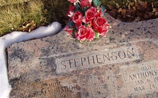 Anthony William Stephenson Anthony William Stephenson