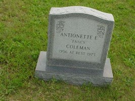 Antionette E Coleman Antionette E Coleman