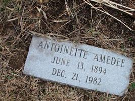 Antoinette Amedee