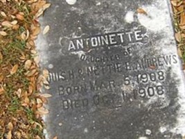 Antoinette Andrews