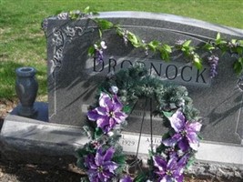 Antoinette M Drobnock