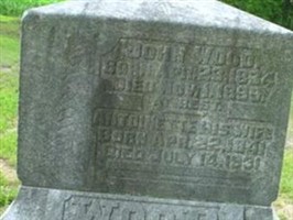 Antoinette Wood