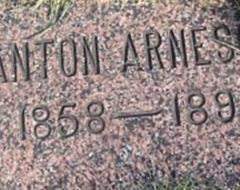 Anton Arneson