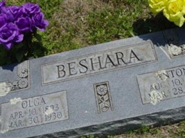 Anton Beshara