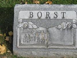 Anton Borst
