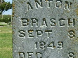Anton Brasch Anton Brasch