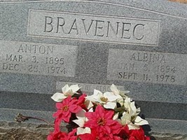 Anton Bravenec