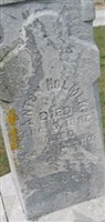 Anton Holmer Anton Holmer
