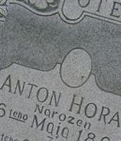 Anton Horak